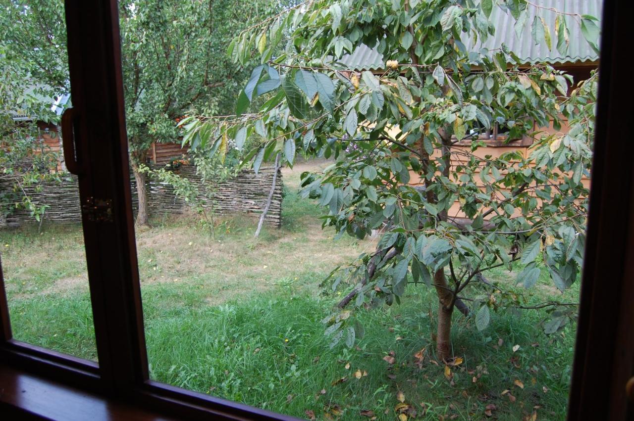 Zelenyi Rai Daire Svityaz' Dış mekan fotoğraf